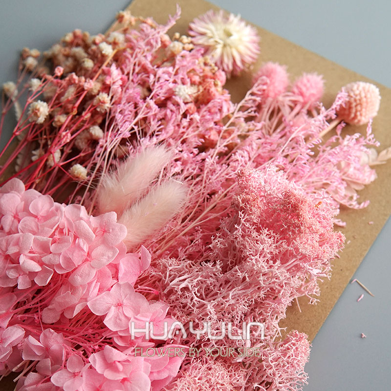 1-pack kunstplanten gedroogde  - Candle Supplies Kit recensie en prijs
